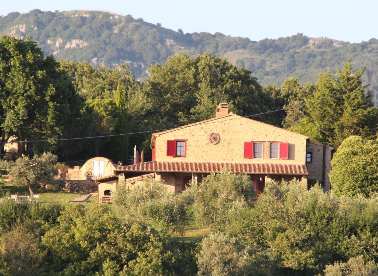 Bosco Apartment Roccalbegna